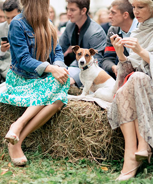 летняя свадьба в стиле рустик, место церемонии