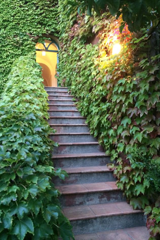 лимонная свадьба в Италии