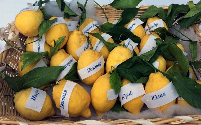 лимонная свадьба в Италии, рассадка на лимонах