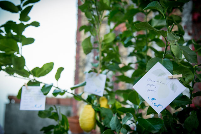 лимонная свадьба в Италии, дерево пожеланий