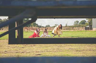 хендмейд свадьба Лизы и Фреда, фитболы на лужайке