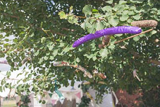 хендмейд свадьба Лизы и Фреда, свадебный шатер