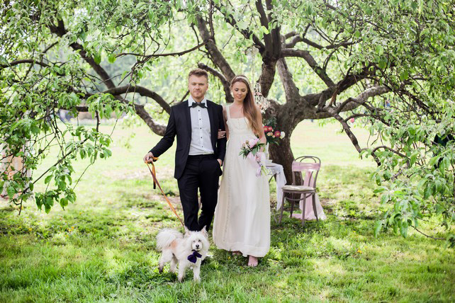 жених и невеста с собачкой, Максим и Дарья: нежная свадьба в розовом цвете