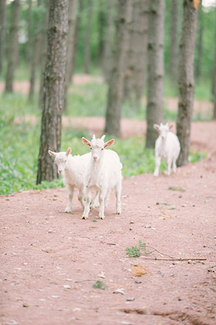 свадьба в стиле рустик, фотосессия жениха и невесты в лесу