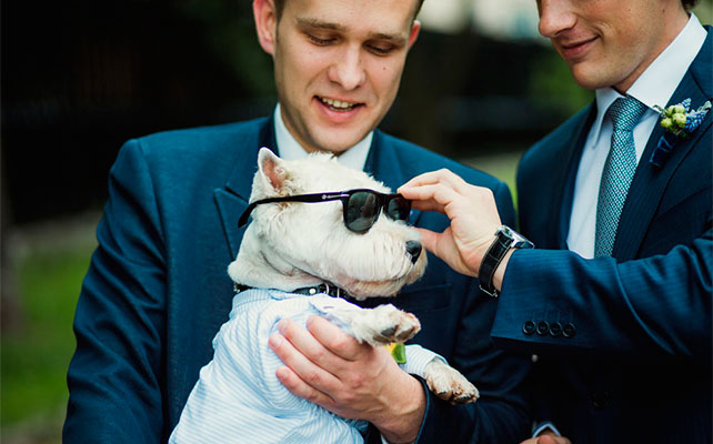 морская свадьба, жених с собакой