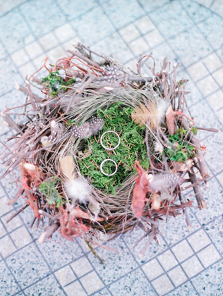 Гнездо с кольцами