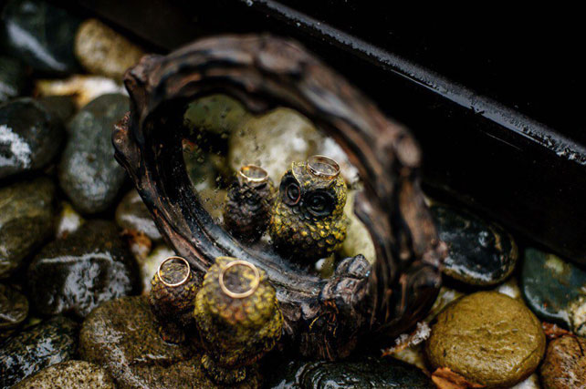 Окрыленные любовью, кольца на совах