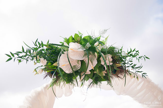 павлинья свадьба, украшение арки