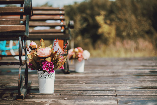 Путешествие с любовью, флористика