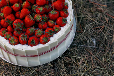 бело-красная летняя свадьба