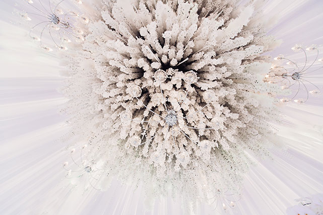 Роскошная белоснежная свадьба, украшение потолка шатра