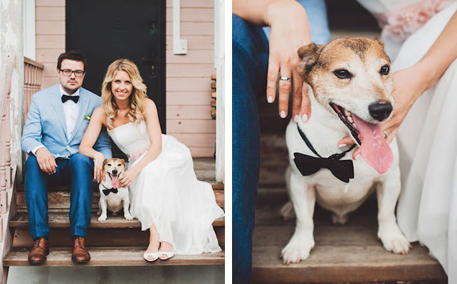 жених и невеста с собакой, Трогательная рустикальная свадьба Насти и Паши