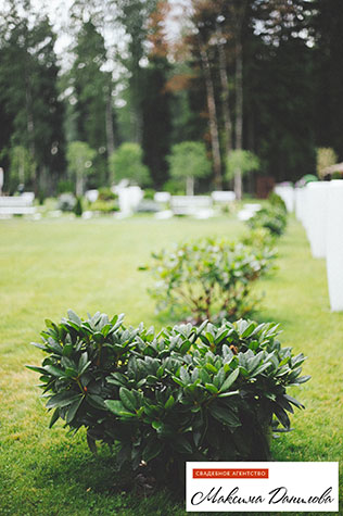 сиреневая свадьба, место церемонии