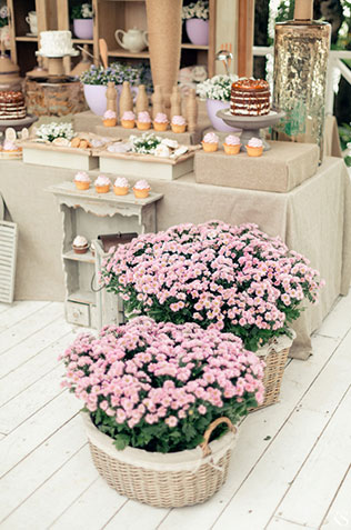 сладкая свадьба, сладкий стол