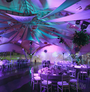 свадьба по мотивам пьесы Шекспира «Сон в летнюю ночь», декор места торжества