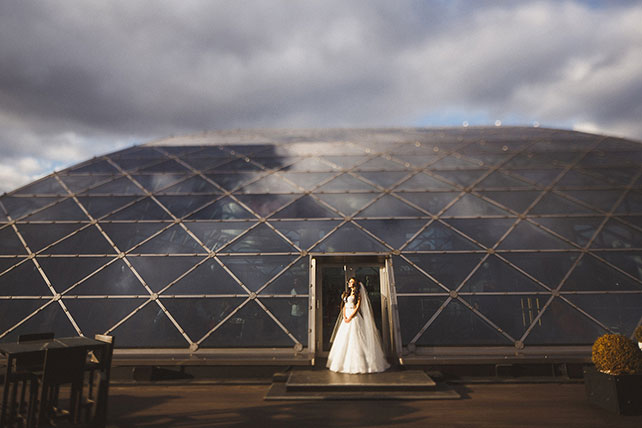 совиная свадьба, фотосессия