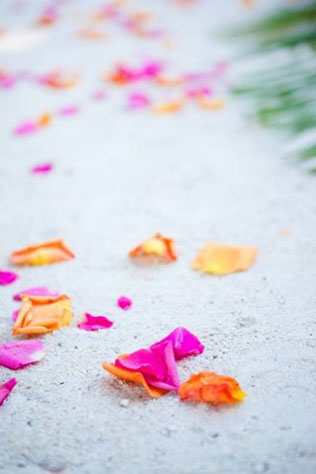 современная свадьба на пляже