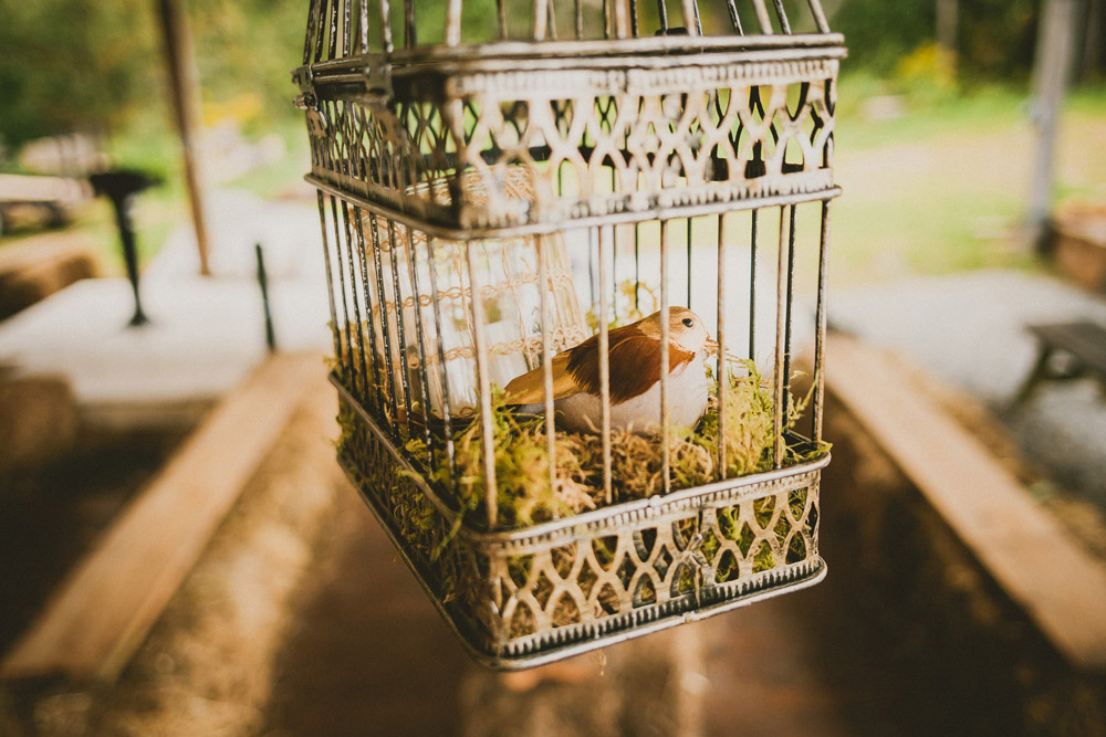 удивительная свадьба в стиле стимпанк