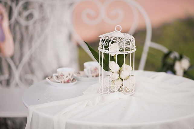 Изящная свадьба в тематике балет, фотосессия жениха и невесты