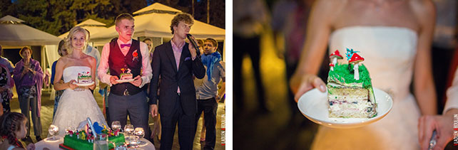 свадебный торт, Анна и Александр: свадьба в стиле настольной игры Диксит