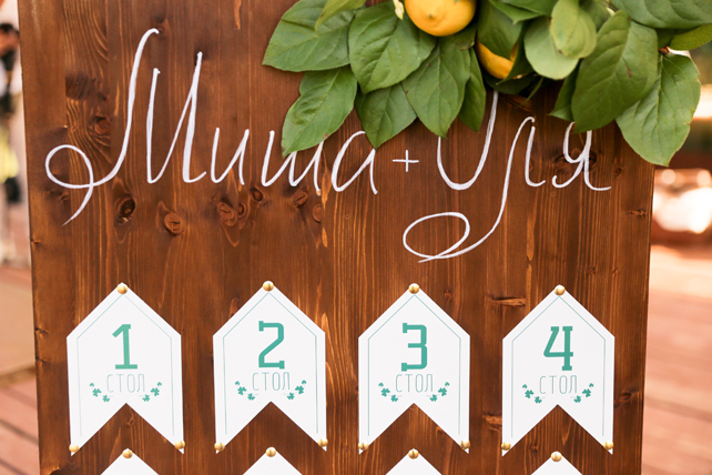 Свадьба Миши и Оли 