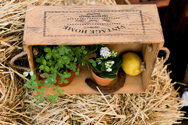 Свадьба Миши и Оли 