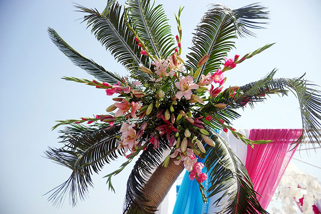 Свадьба на Кипре, цветы на пальме