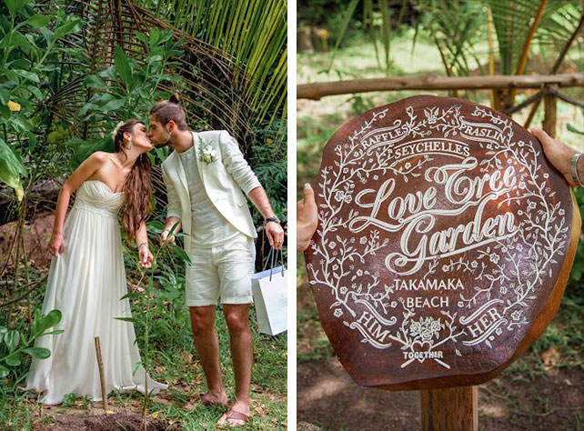 Свадьба на Сейшелах, молодожены сажают дерево любви