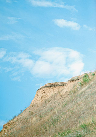 современная свадьба, торжественная регистрация