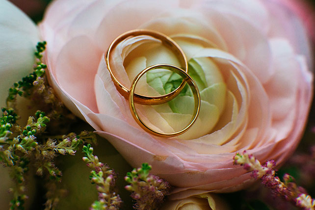 Свадьба с хаски, кольца