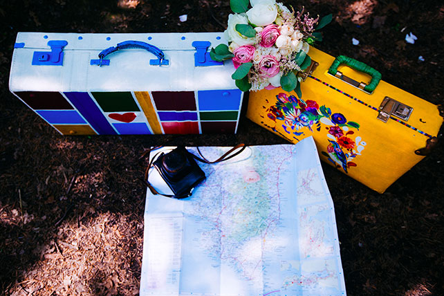 Свадьба с хаски, чемоданы