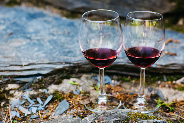 Свадьба с хаски, бокалы вина¤