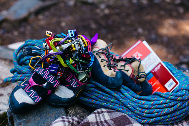 Свадьба с хаски, детали свадьбы