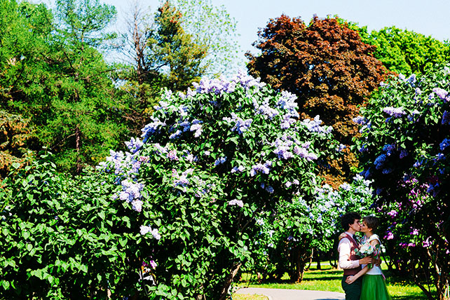 Свадьба с хаски, цветущий сад