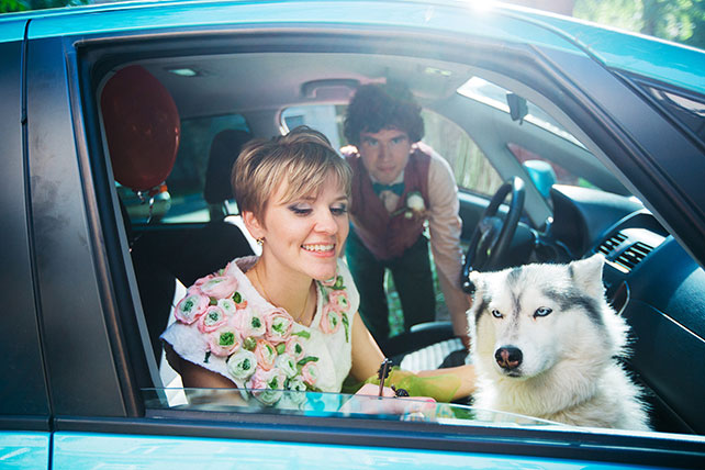 Свадьба с хаски, невеста и жених в машине с хаски