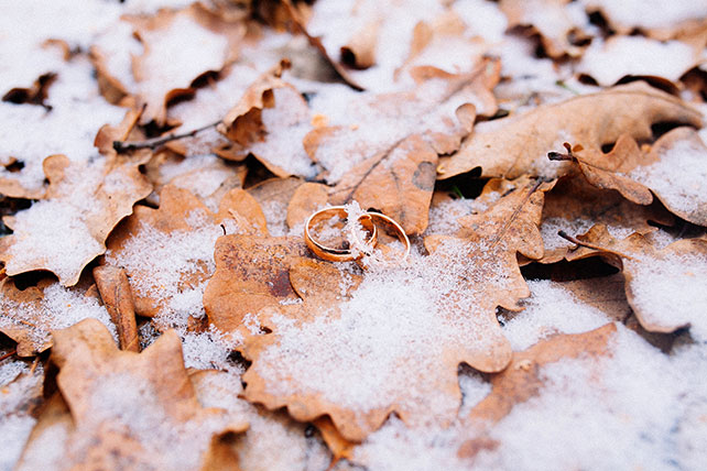 Зимняя свадьба в цвете Тиффани, обручальные кольца, слег, дубовые листья