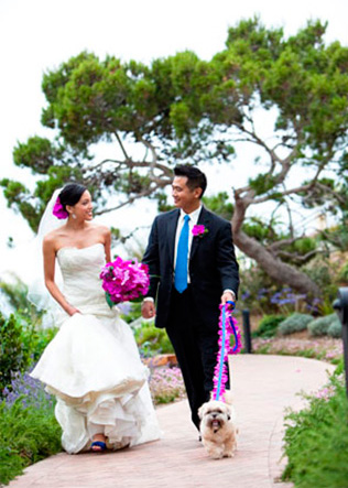 свадьба Эда и Патрисии в Греции