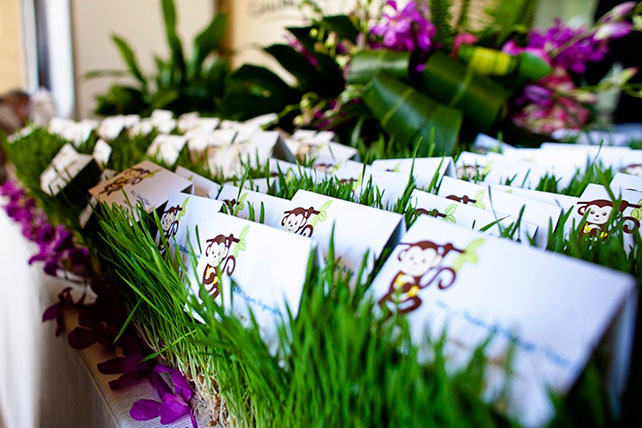 свадьба Эда и Патрисии в Греции