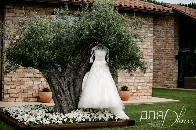 Великолепная свадьба в Испании: Мария и Денис, платье невесты