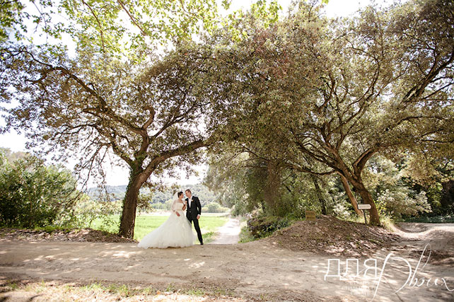 Великолепная свадьба в Испании: Мария и Денис, фотосессия жениха и невесты около дерева 