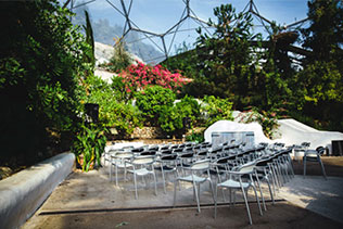 свадьба в оранжерее, место церемонии