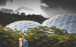 свадьба в оранжерее, фотосессия