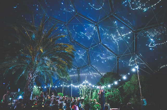 свадьба в оранжерее, вечерние огни