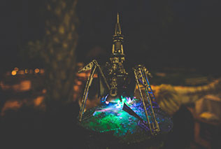 свадьба в оранжерее, вечерние огни