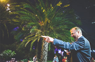 свадьба в оранжерее, вечерние огни