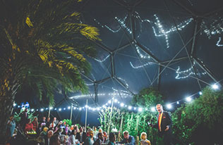 свадьба в оранжерее, вечерние огни