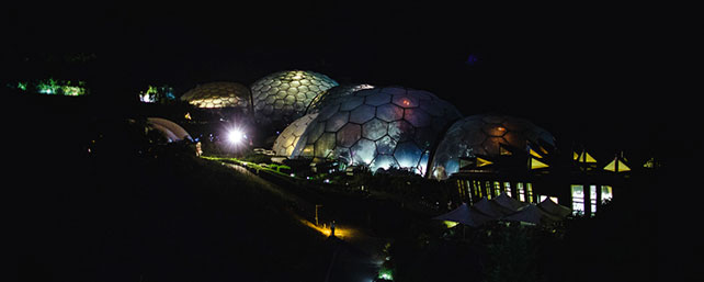 свадьба в оранжерее, место торжества