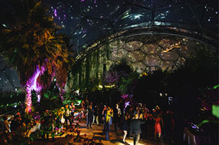 свадьба в оранжерее, вечерние огни