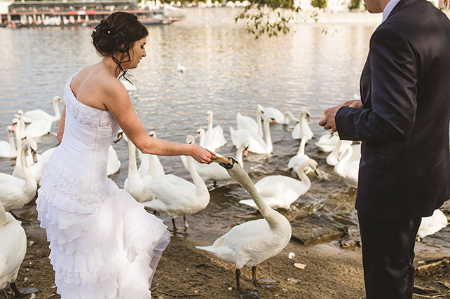 свадьба в Праге, фотосессия