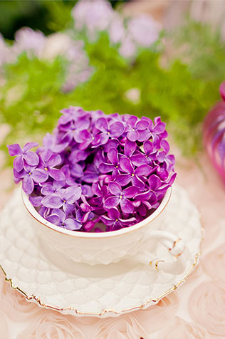 свадьба в сиреневом саду, оформление фотосессии